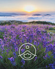 Florihana Essential Oils - Wild Lavender Vera