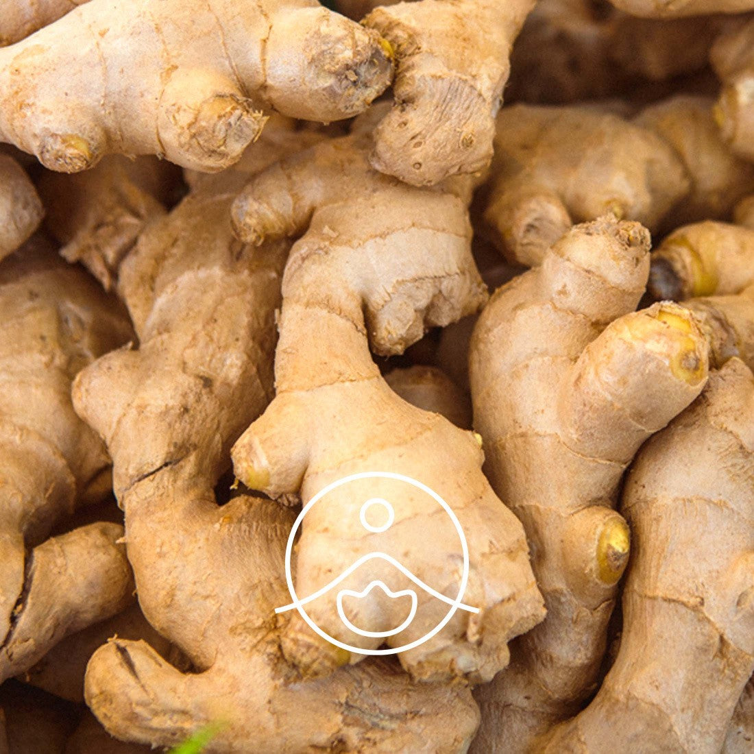 Florihana Essential Oils - Ginger