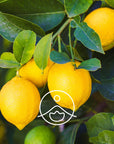 Florihana Essential Oils - Lemon