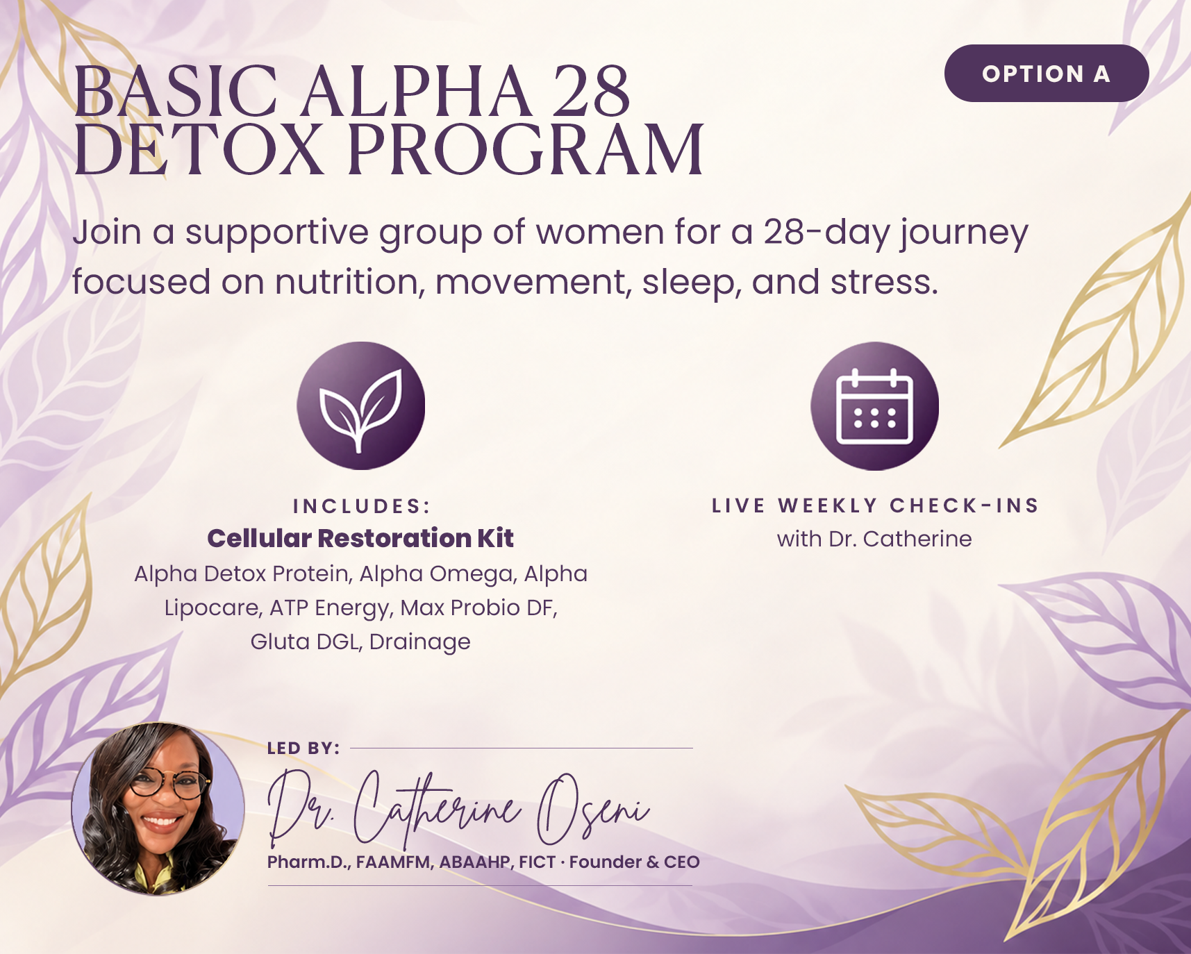 Alpha 28 Cellular Restoration Detox Program