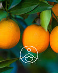 Florihana Essential Oils - Sweet Orange